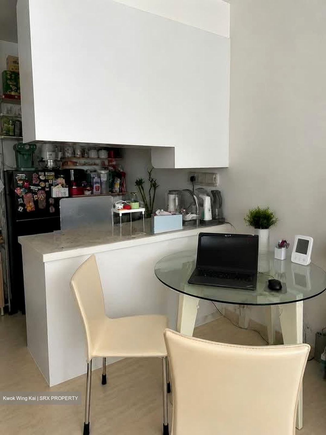 Dunearn Suites (D11), Apartment #572731481